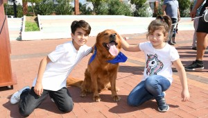 Narlıdere'de can dostlar için renkli şölen!  