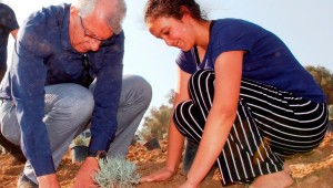 Ödemişli üreticiye mis gibi alternatif