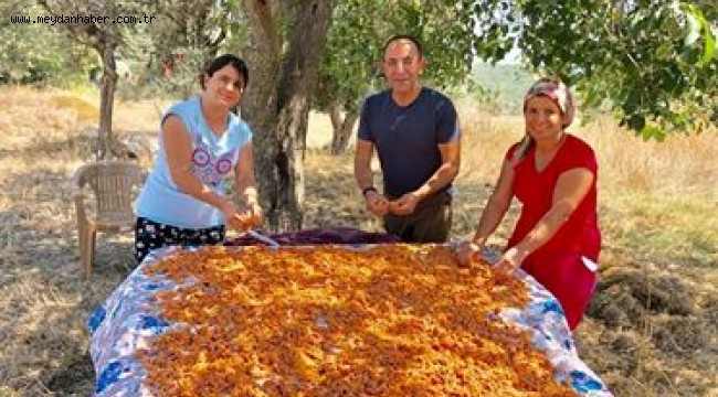Urla Tarhana Şenliği başlıyor