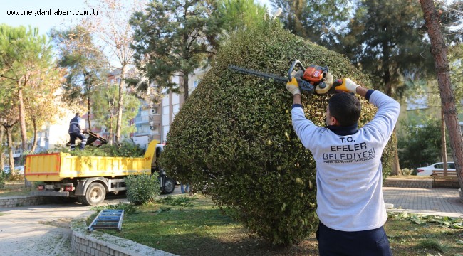 ADNAN MENDERES MAHALLESİ'NDE YEŞİL ALANLARA BAKIM