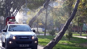 Akhisar'da Biyosidal Uygulamaları Devam Ediyor