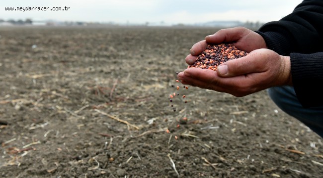 ANKARA BÜYÜKŞEHİR BELEDİYESİ, ATATÜRK ORMAN ÇİFTLİĞİ ARAZİSİNDE YEM TOHUMU EKİMİNİ TAMAMLADI
