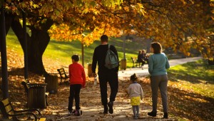 ANKARA BÜYÜKŞEHİR BELEDİYESİ'NİNPARK VE REKREASYON ALANLARI,SONBAHAR MEVSİMİNİN EN GÜZEL RENKLERİNE BÜRÜNDÜ