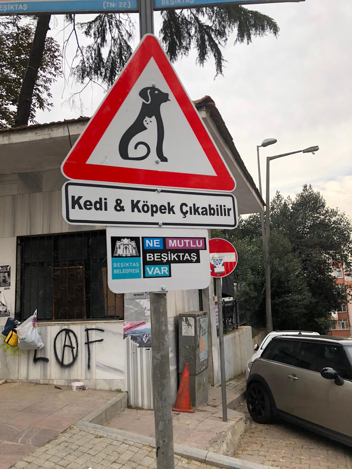 BEŞİKTAŞ'IN SOKAKLARINDA 'KEDİ VE KÖPEK ÇIKABİLİR' FARKINDALIĞI