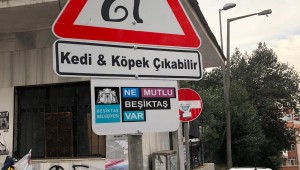 BEŞİKTAŞ'IN SOKAKLARINDA 'KEDİ VE KÖPEK ÇIKABİLİR' FARKINDALIĞI