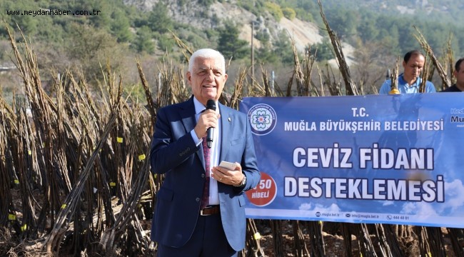 Büyükşehir'den Üreticiye 55 Bin Ceviz Fidanı Desteği
