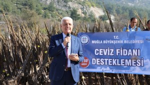 Büyükşehir'den Üreticiye 55 Bin Ceviz Fidanı Desteği
