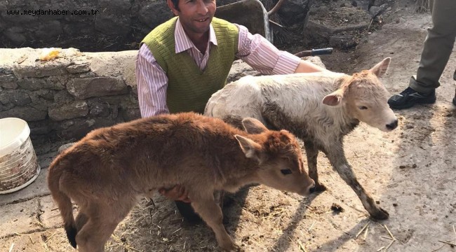 BÜYÜKŞEHİR'DEN YERLİ IRKA DESTEK 