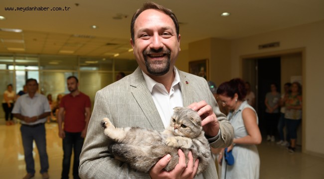 Çiğli Belediyesi'nden ''Pati Dostu İşletme'' Projesi