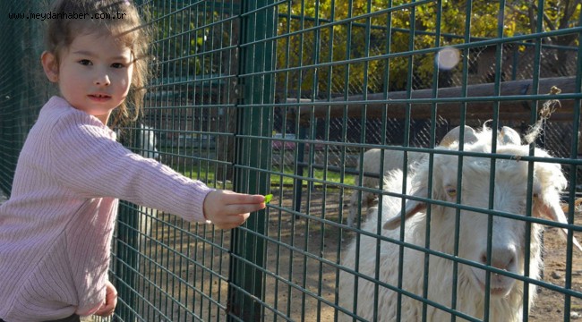 ÇOCUKLARIN YENİ GÖZDESİ EMU KUŞLARI VE CEYLANLAR