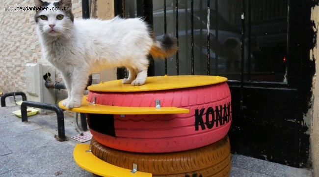 Konak'ın kedileri bu kış üşemeyecek 