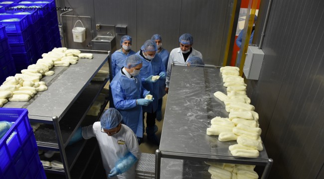 Manisa'da Gıda Denetim Seferberliği Başladı