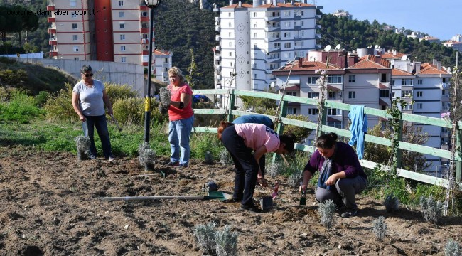 Narlıdere "lavanta" kokacak