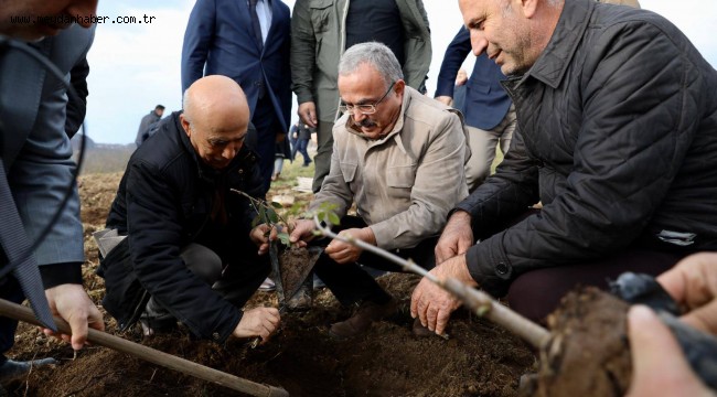 ORDU BÜYÜKŞEHİRDEN GÜRGENTEPE'YE ÇIKARMA