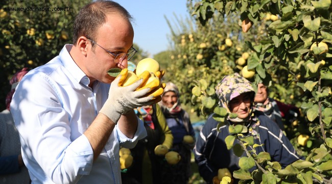 PAMUKKALE AYVASI DÜNYA PAZARINDA