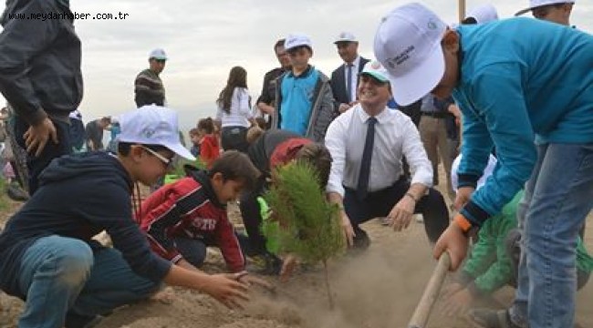 Sarayköy'de 11 bin fidan toprakla buluştu