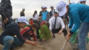 Sarayköy'de 11 bin fidan toprakla buluştu