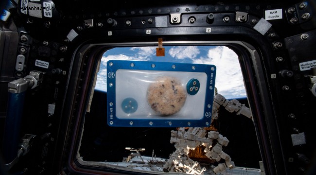 Ve Kurabiyeler Uzayda: Ünlü DoubleTree Kurabiyeleri Uzayda Pişecek İlk Yiyecek Olmak Üzere Uluslararası Uzay İstasyonu'na fırlatıldı