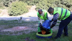 Buca Belediyesi kırsaldaki can dostlarına kucak açtı 