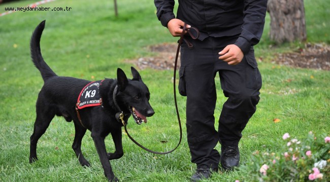BÜYÜKŞEHİR BELEDİYESİ İTFAİYE DAİRE BAŞKANLIĞI K-9 KÖPEKLERİ, CANLI İNSAN ARAMA VE KURTARMADA ULUSLARARASI BAŞARIYA İMZA ATTI