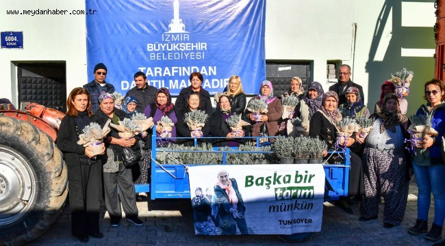Büyükşehir Doğancılar'a 32 bin lavanta fidesi dağıttı