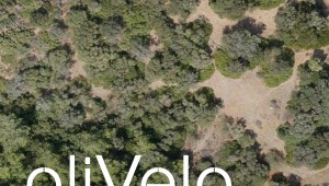 oliVelo için başvurular başladı