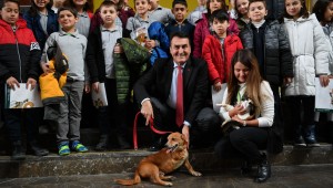 Osmangazi Engelli Hayvanları Unutmadı -	Engel Sadece İnsanlarda Yok