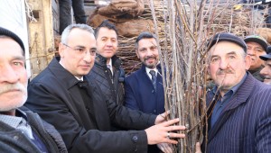 Sivrihisar'da Fidanlar Fidanla büyüyor