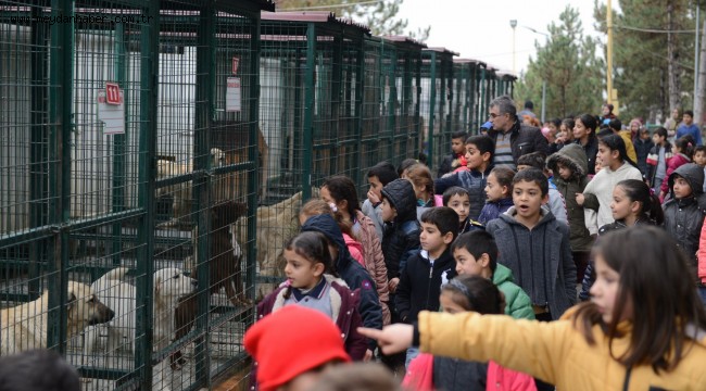 Türk ve Mülteci çocukların mutlu günü