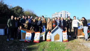 Umuttepe'deki sokak hayvanlarına yardım eli