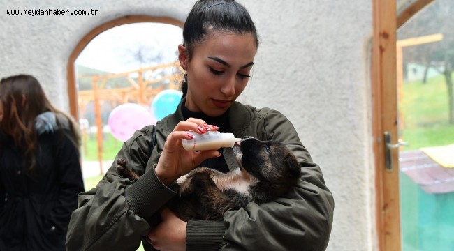 Yuvalarını boyadılar, biberonla beslediler