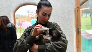 Yuvalarını boyadılar, biberonla beslediler