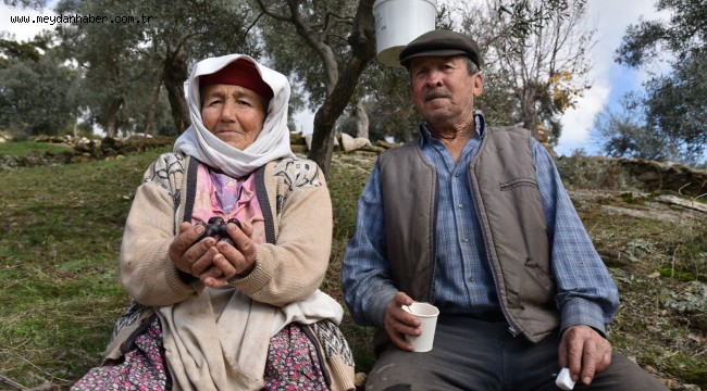 ZEYTİNCİLERE ZİYARETLER DEVAM EDİYOR