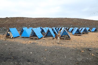 BAŞKAN GÜLER ÜNYE'DE İNCELEMELERDE BULUNDU