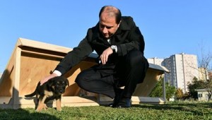 BEYLİKDÜZÜ BELEDİYESİ MAMA EVLERİ PROJESİNİ HAYATA GEÇİRDİ