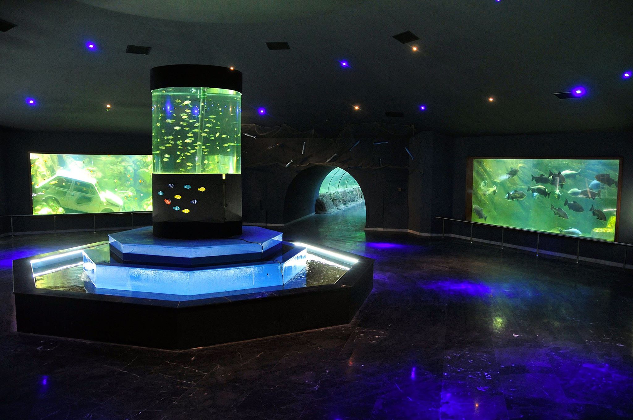 BOZKIRIN ORTASINDA DENİZ DÜNYASI