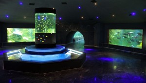 BOZKIRIN ORTASINDA DENİZ DÜNYASI