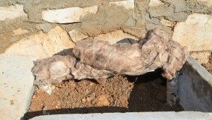 Büyükşehir DESKİ;den sayaç uyarısı