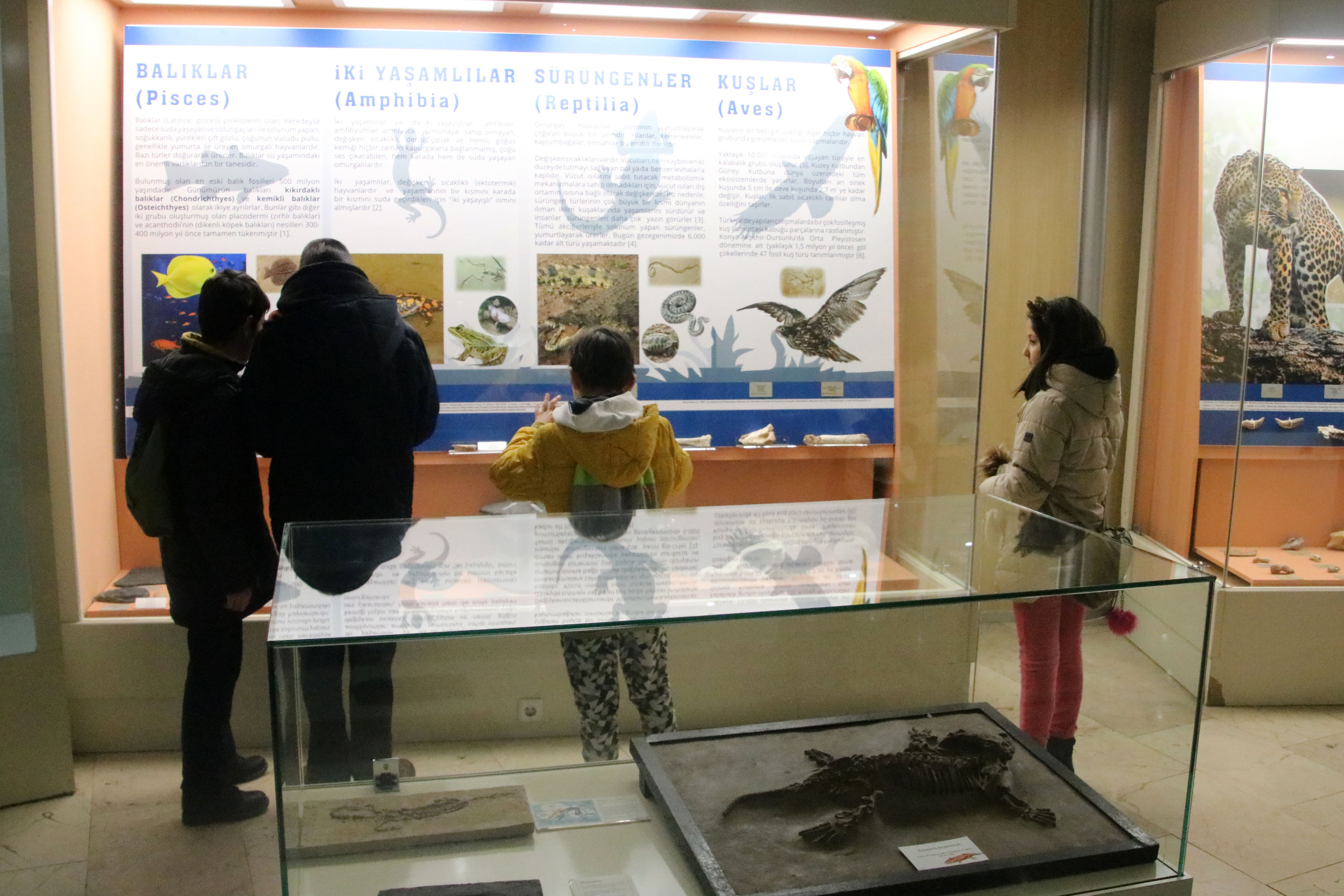 ÇANKAYALI ÇOCUKLAR TABİAT TARİHİ MÜZESİ'Nİ GEZDİ