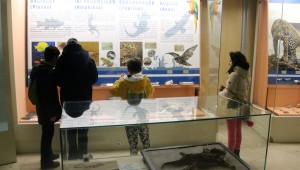 ÇANKAYALI ÇOCUKLAR TABİAT TARİHİ MÜZESİ'Nİ GEZDİ