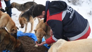 EĞİTİMDE BAKICILARDAN VETERİNERLERE HAYVAN DAVRANIŞLARI VE REFAHI, ZOONOZ HASTALIĞI VE KORUNMA YOLLARI HAKKINDA BİLGİLER VERİLİYOR