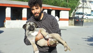 Kartal Belediyesi Ekipleri, Kuyuya Düşen Minik Köpeği Hayata Döndürdü