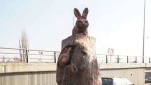 KURU AĞAÇLAR SANAT ESERİNE DÖNÜŞÜYOR...