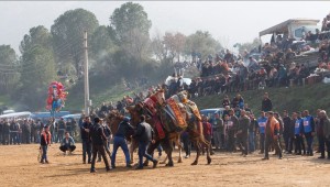Ödemiş Konaklı deve güreşleri Pazar günü yapılacak