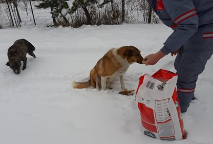 SOKAK HAYVANLARI UNUTULMUYOR