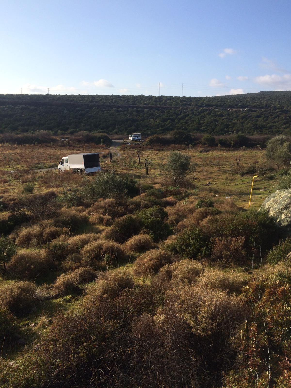 Urla Belediyesi can dostlarına sahip çıktı