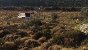 Urla Belediyesi can dostlarına sahip çıktı