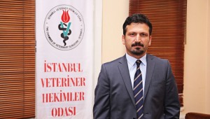 Veteriner hekimler uyardı: Ölü kuşlara sakın dokunmayın