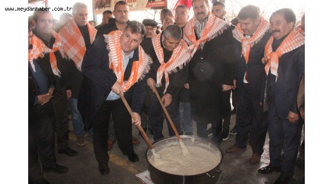 30.KINIK DEVE GÜREŞLERİ FESTİVALİ YAPILDI