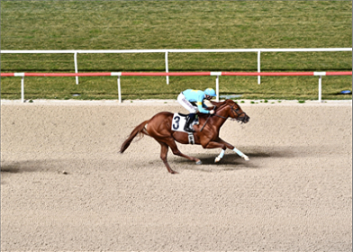 Başkanlık Kupası'nı "Lozan" kazandı  